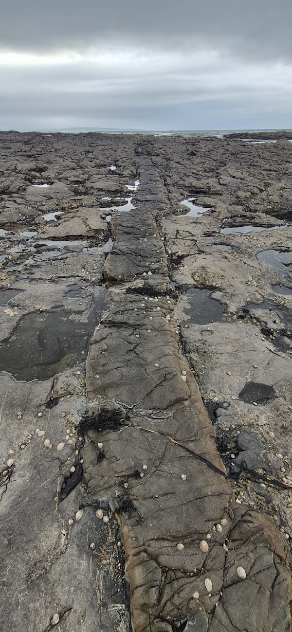 The Mermaid's Footpath 2
