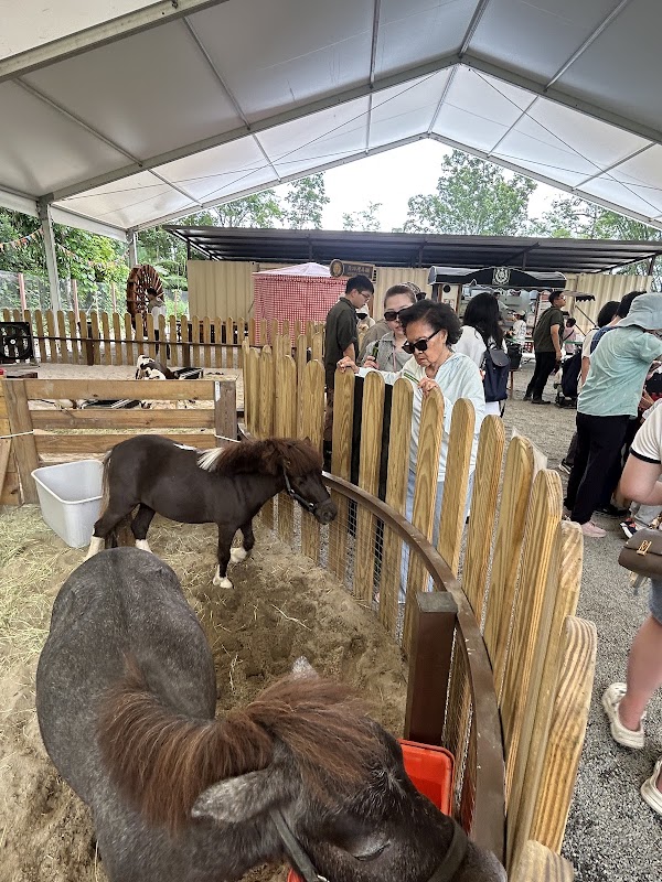 野森動物學校_天羽觀鳥台