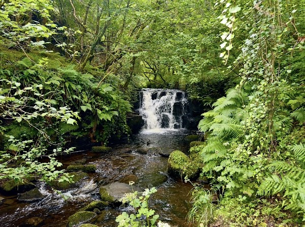 Gleniff Barytes Mill Site 1