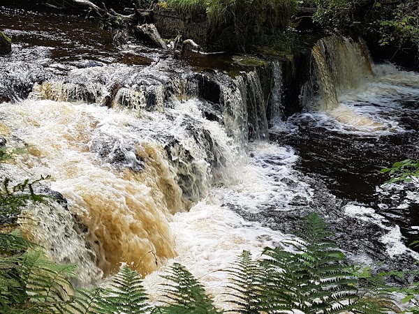 Gleniff Barytes Mill Site 4