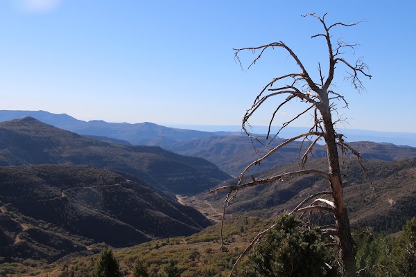 Douglas Pass 2