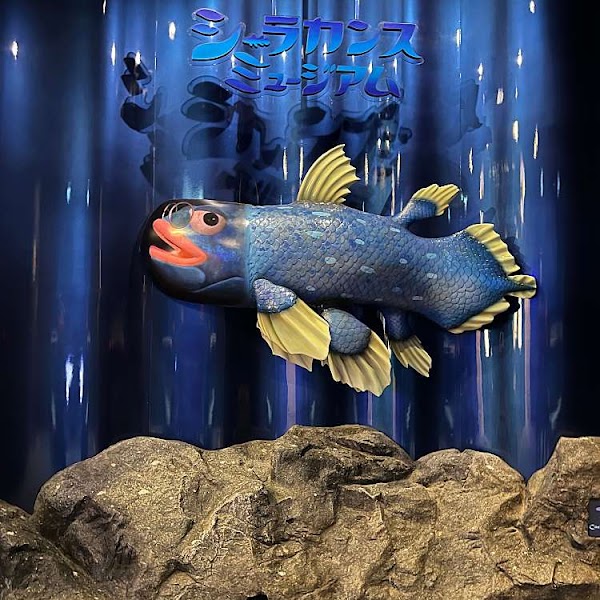 Numazu Deep Sea Aquarium 5