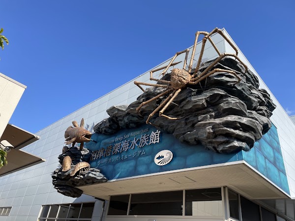 Numazu Deep Sea Aquarium 4