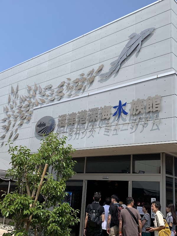 Numazu Deep Sea Aquarium 3