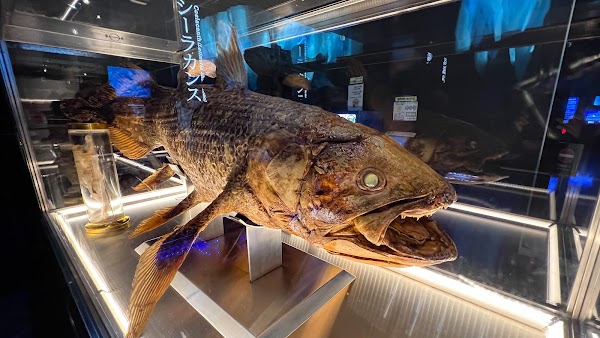 Numazu Deep Sea Aquarium 2