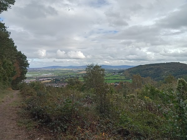 Coed Y Gopa 1