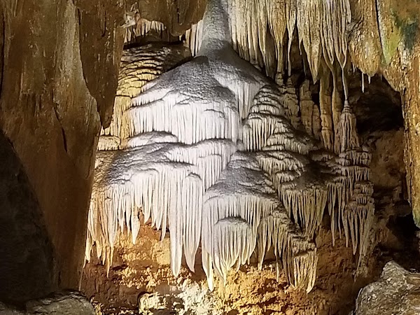 The Garden Maze at Luray Caverns 3