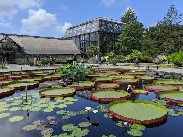 Longwood Gardens 2
