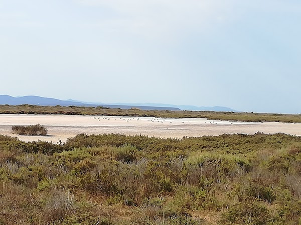Stagno di Mistras