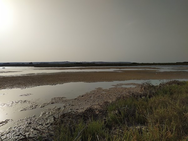 Stagno di Mistras 3