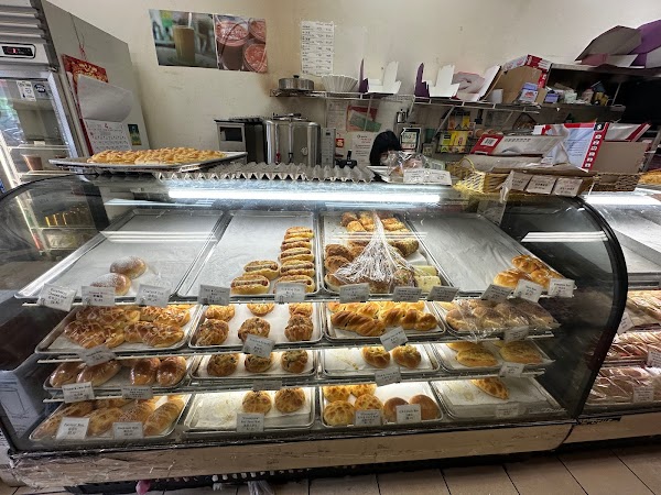 Yummy Bakery & Cafe 1