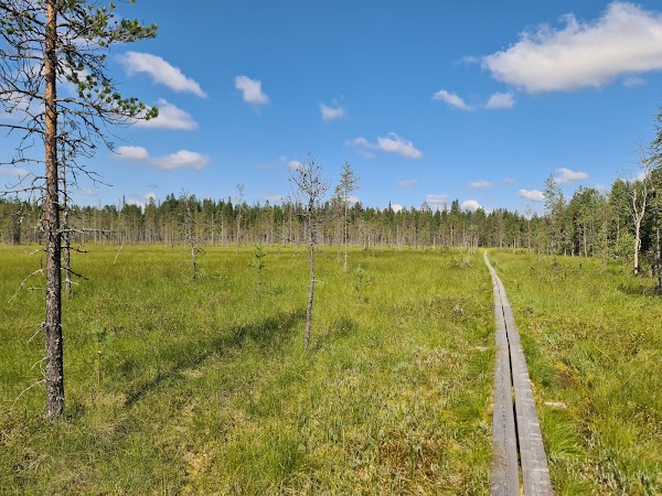 Syöte National Park 5