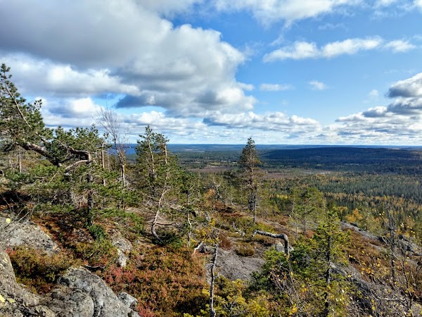 Syöte National Park 4
