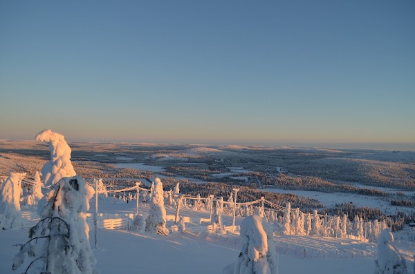 Syöte National Park 2