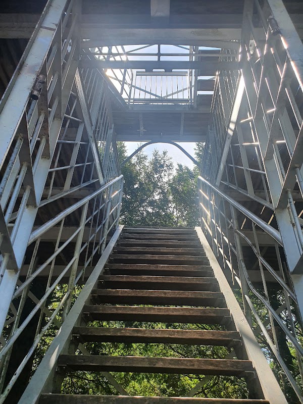 Belvédère tower 4