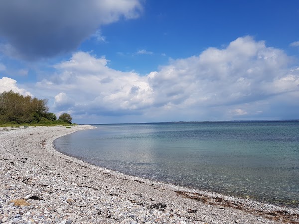 Næbbet 1