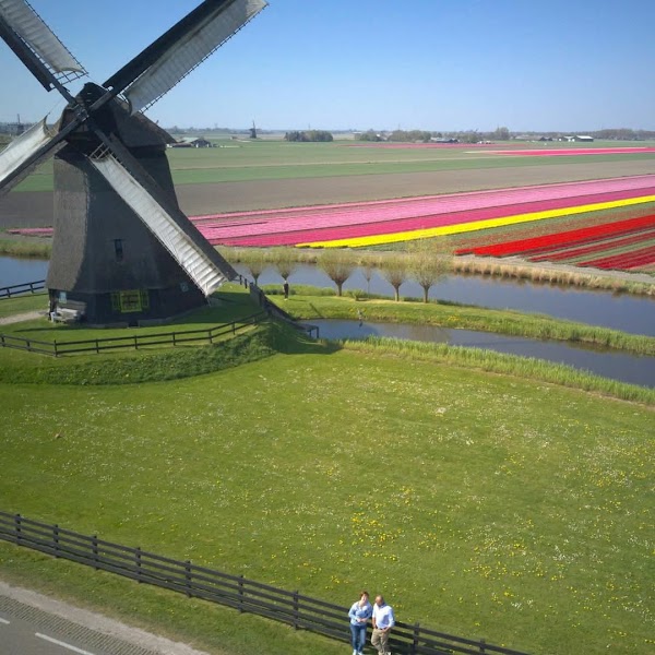 Tulip Tours Holland 4