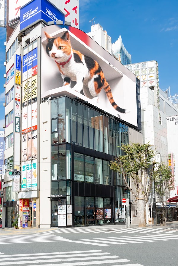 The Giant 3D Cat 1