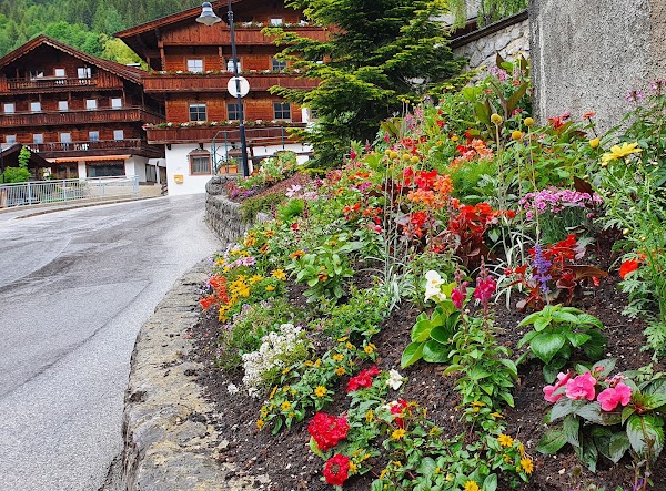 Alpbach 2
