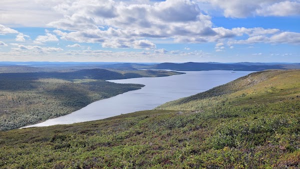 Muotkatunturi Wilderness Area 1