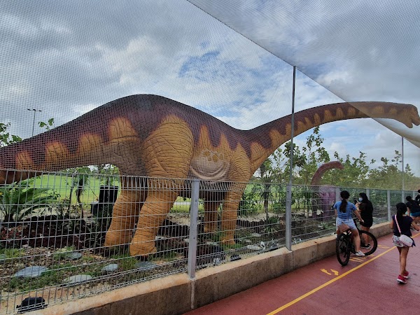 Changi Jurassic Mile 5