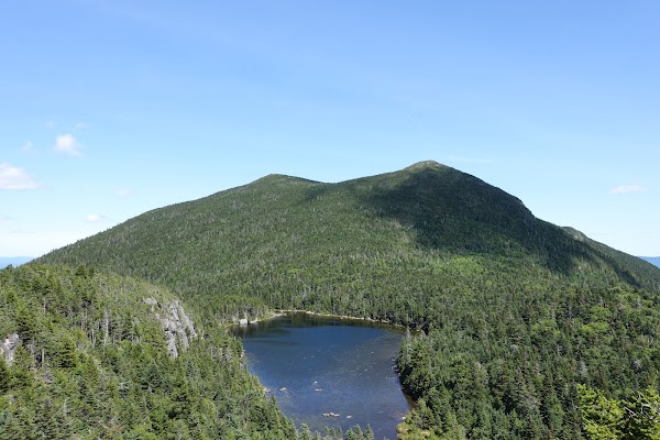 The Horns Pond