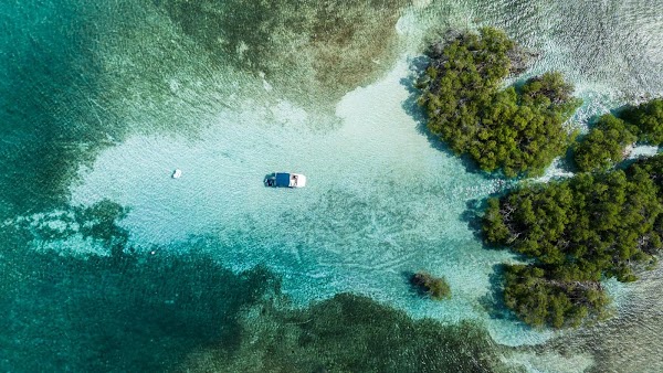 Parguera Water Sports Adventures & Bioluminescent Bay Tour Boat-Kayak-Swim