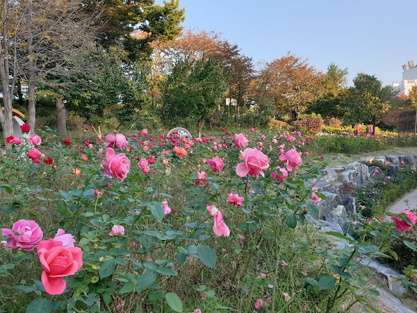 Daehyeonsan Rose Garden
