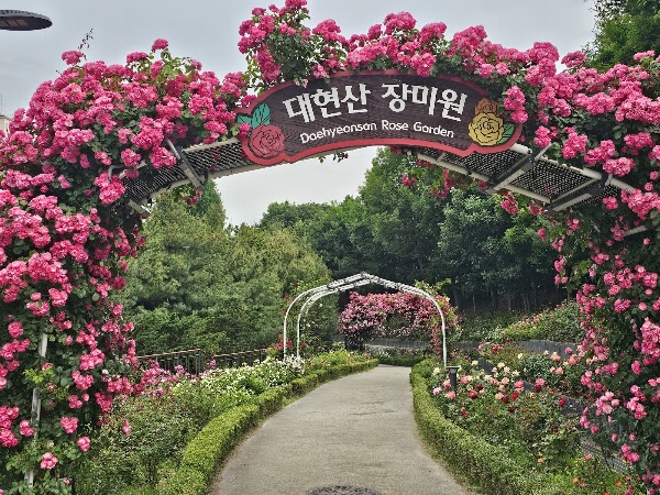 Daehyeonsan Rose Garden 5