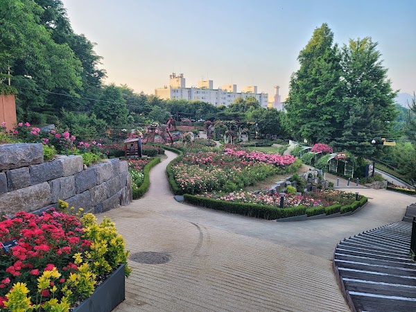 Daehyeonsan Rose Garden 4