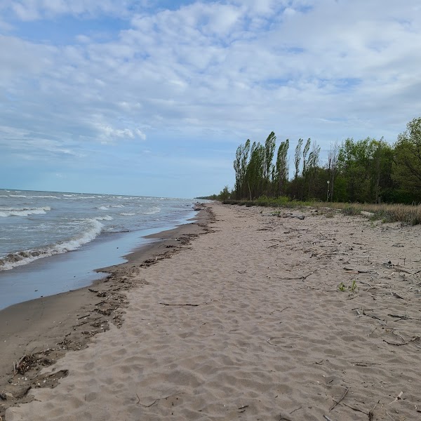 Rondeau Provincial Park