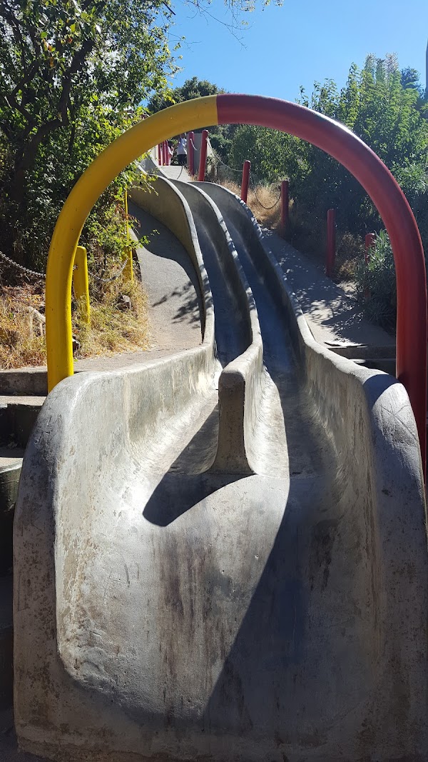 Seward Park Concrete Slides