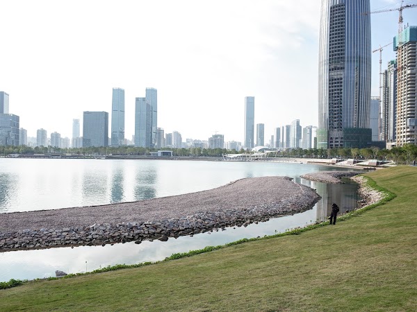 深圳人才公園 5