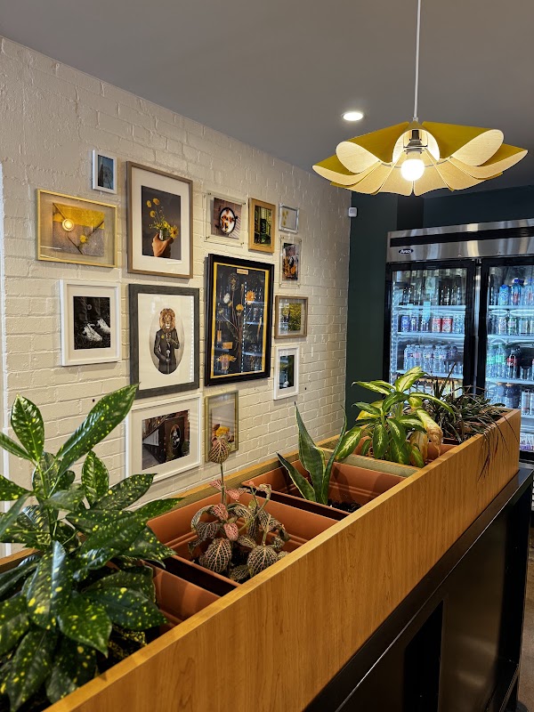 Dandelion Cafe Heights 5