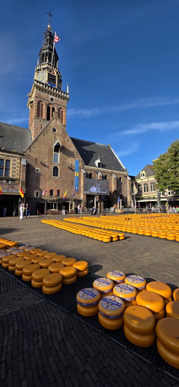 Cheese Market 1