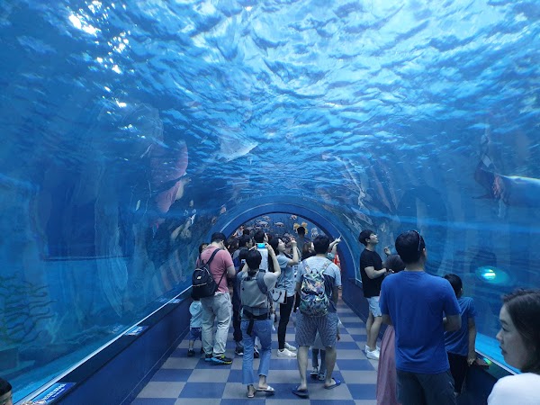 Jangsaengpo Whale Museum, Ulsan 5