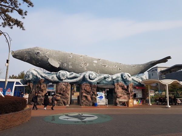 Jangsaengpo Whale Museum, Ulsan 4