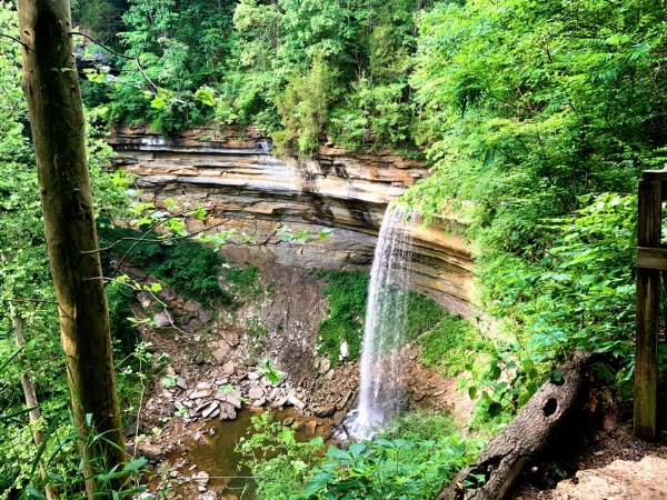 Clifty Falls State Park 5