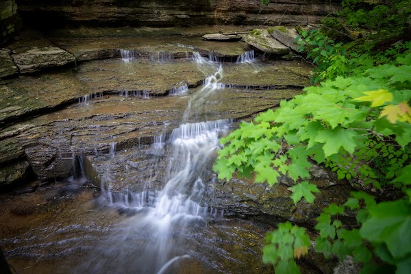 Clifty Falls State Park 4