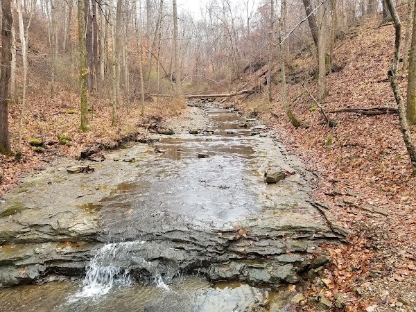 Clifty Falls State Park 2