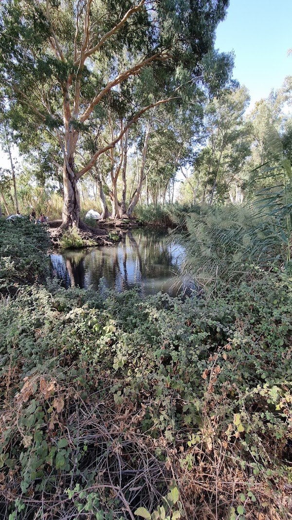 עין ראובן (עין צנובר) 1