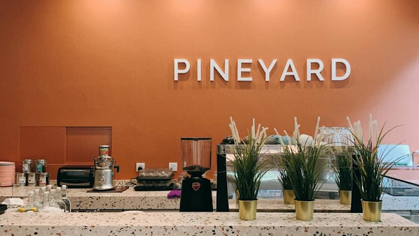 Pineyard 4