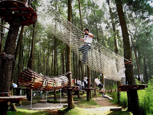 Kopeng Treetop Adventure Park 1