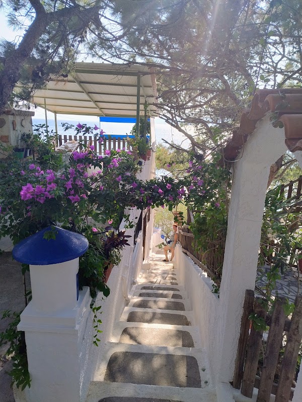 Bella Vista 2