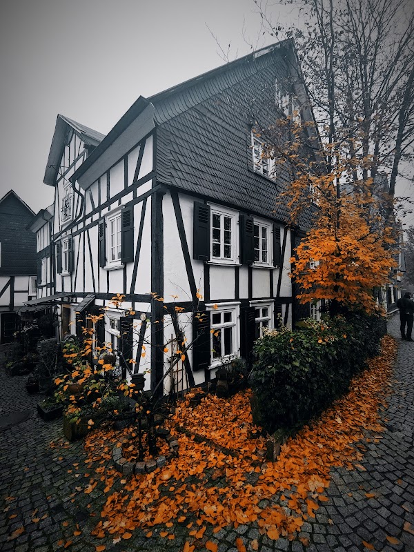 Freudenberg 5