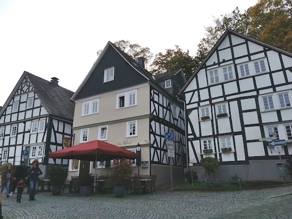 Freudenberg 3