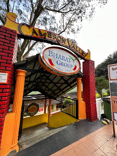 Cameron Valley Tea House 1