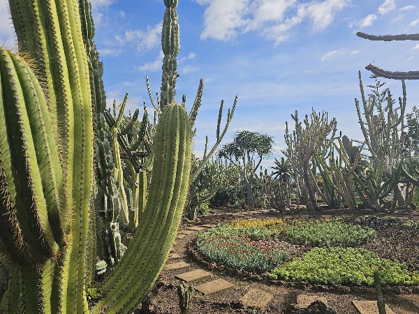 Madeira Botanical Garden 4