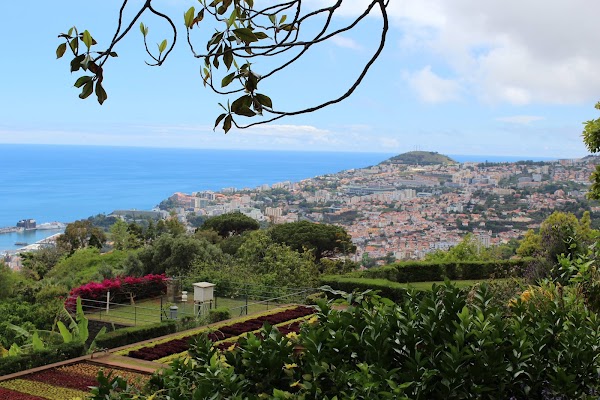 Madeira Botanical Garden 2