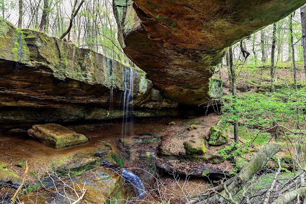 Rockbridge State Nature Preserve